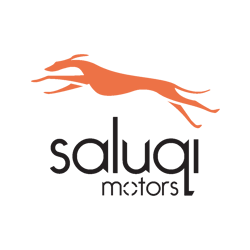 Saluqi motors-1