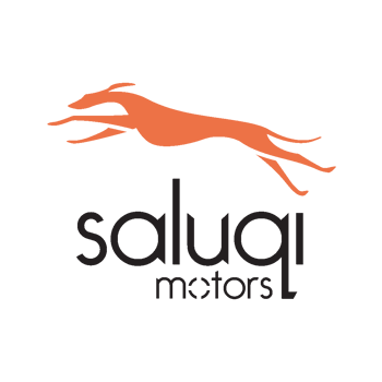 Saluqi motors-1